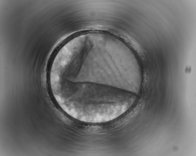 X0000101950784200808151252