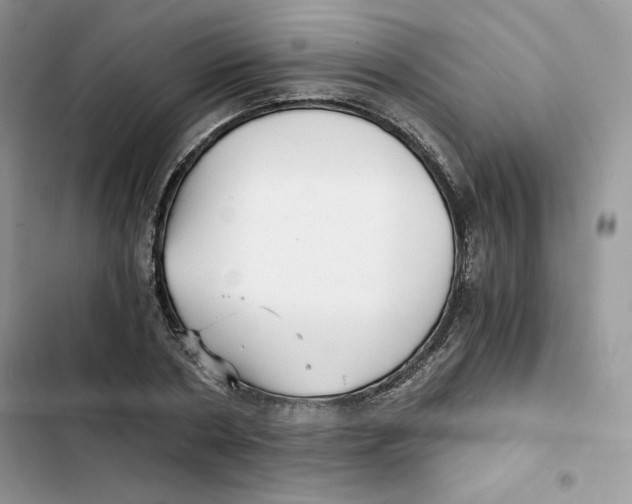 X0000101950786200808151252