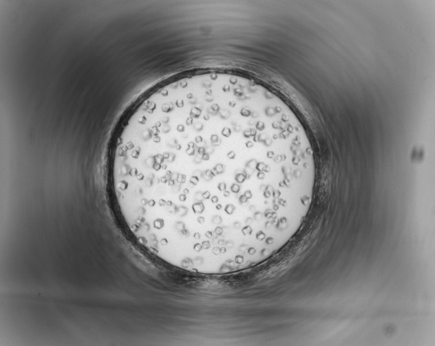X0000101950787200808151252