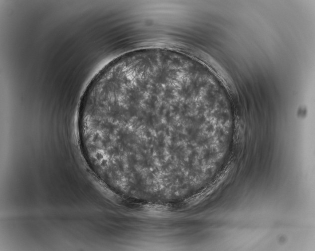 X0000101950788200808151252