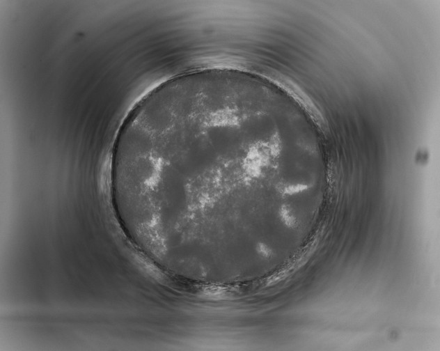 X0000101950790200808151252