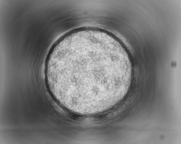 X0000101950791200808151252