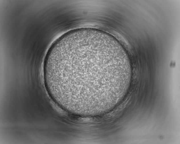X0000101950792200808151251