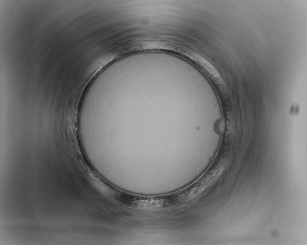 X0000101950793200808151251