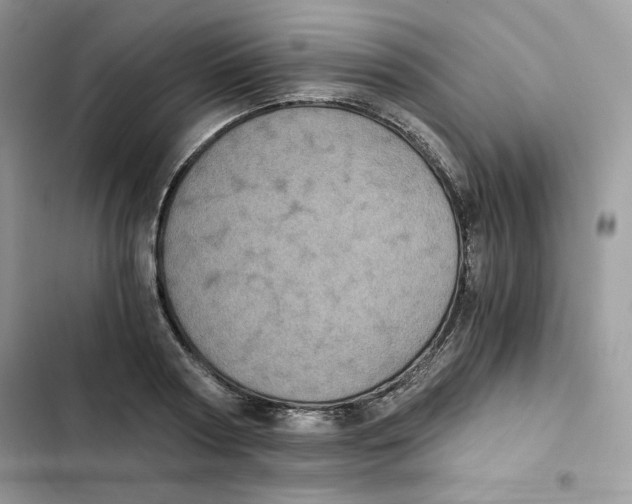 X0000101950794200808151251