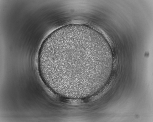 X0000101950795200808151251