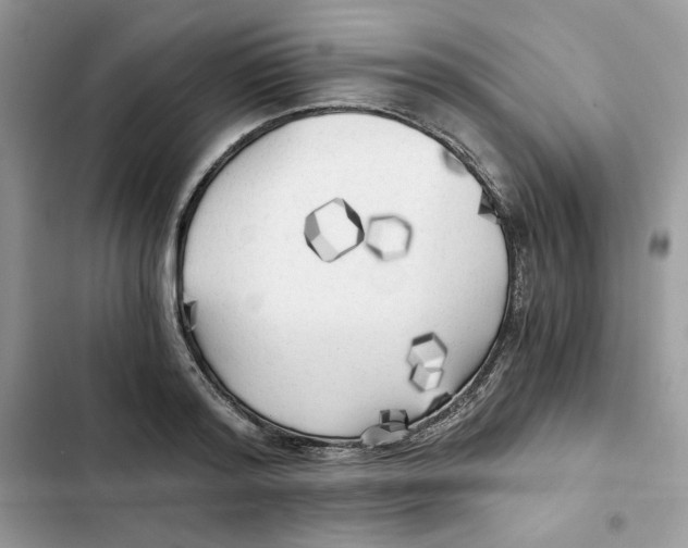 X0000101950796200808151251