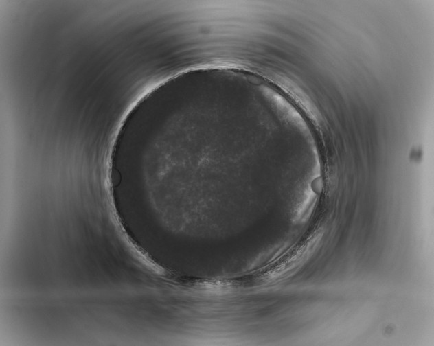 X0000101950797200808151251