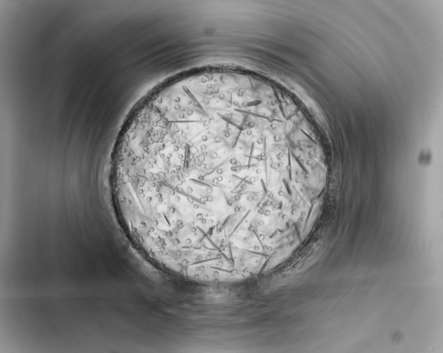 X0000101950799200808151251