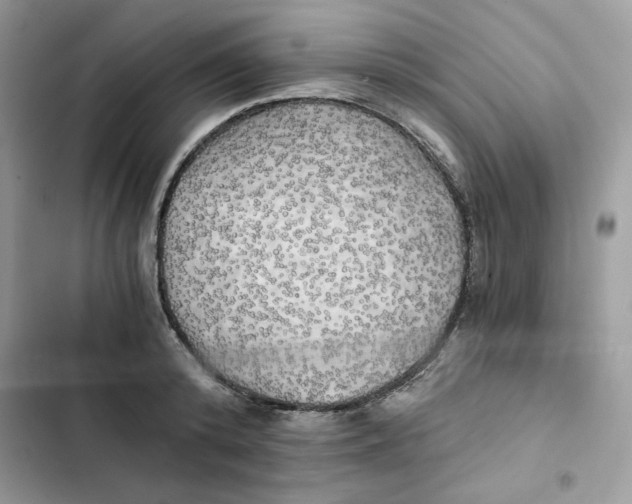 X0000101950800200808151251