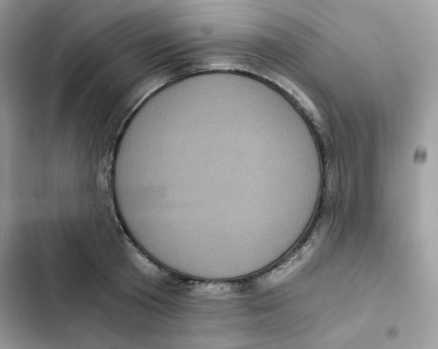 X0000101950801200808151251
