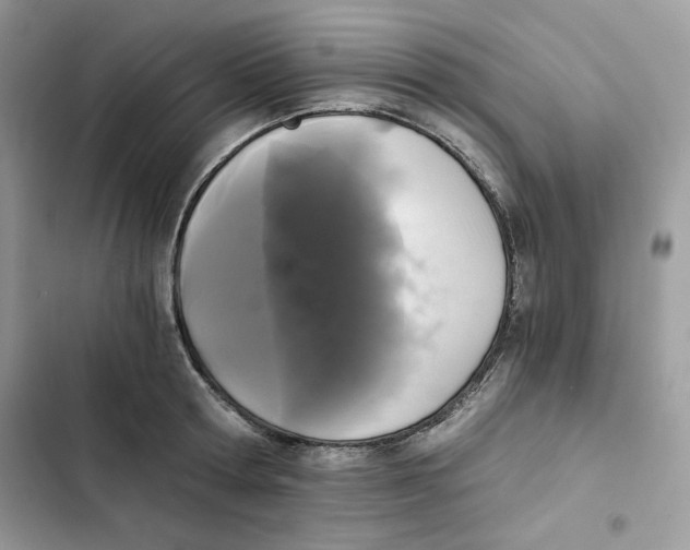 X0000101950802200808151251
