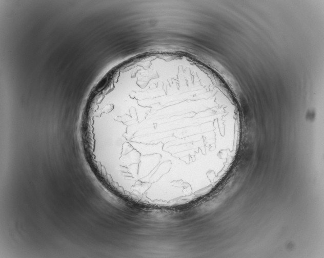 X0000101950803200808151251