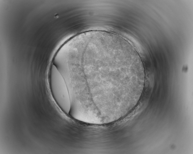 X0000101950804200808151251