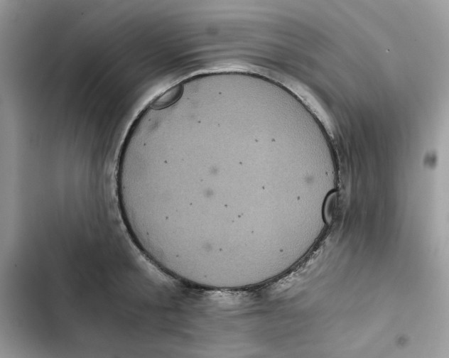 X0000101950805200808151251