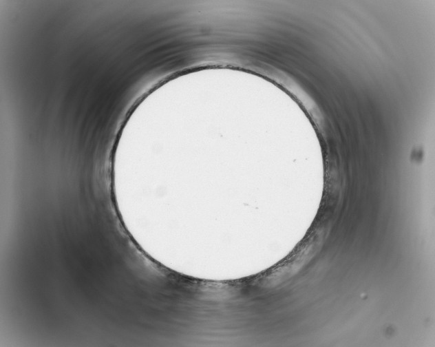 X0000101950807200808151251