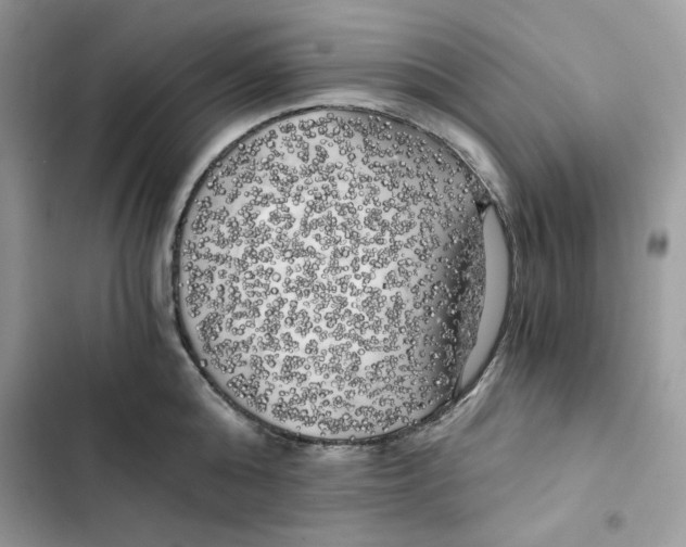 X0000101950808200808151251