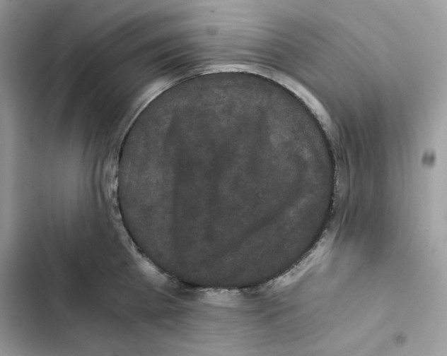 X0000101950809200808151251