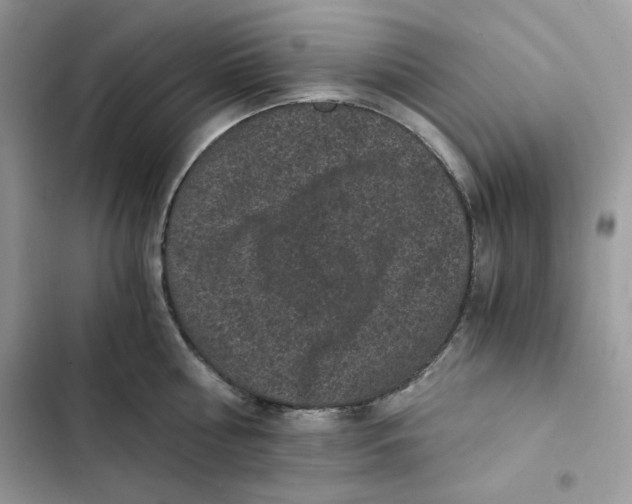 X0000101950810200808151251