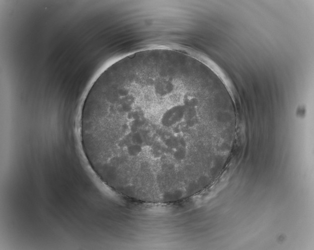 X0000101950811200808151251
