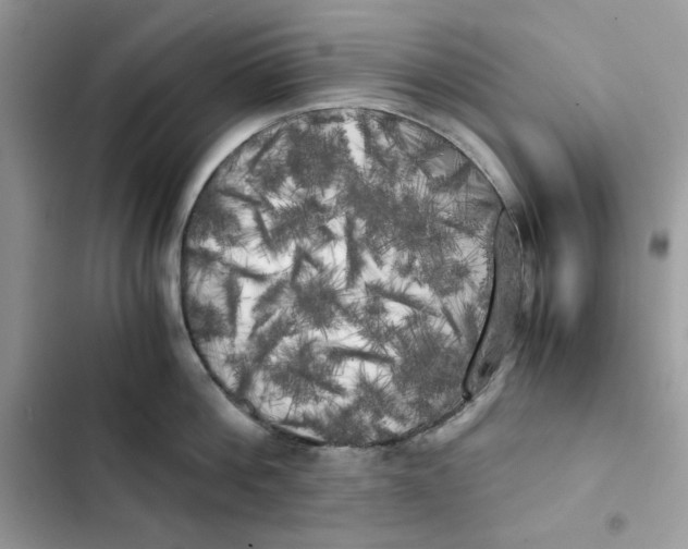 X0000101950812200808151251