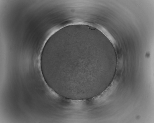 X0000101950813200808151251
