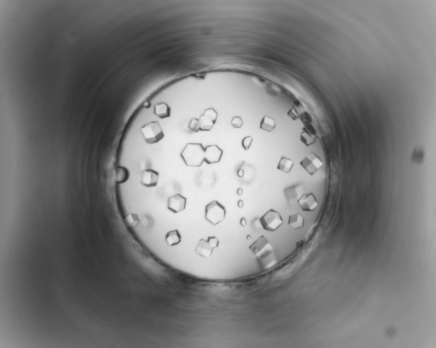 X0000101950814200808151251