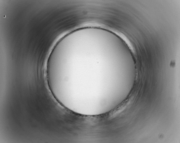 X0000101950815200808151251