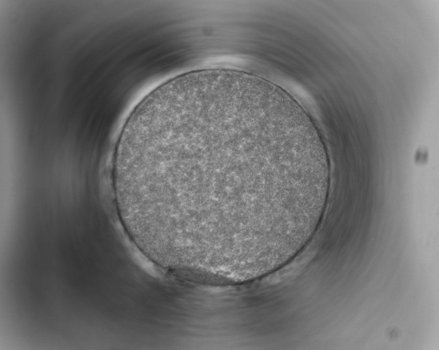 X0000101950816200808151251