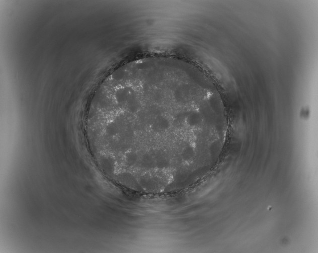 X0000101950817200808151250