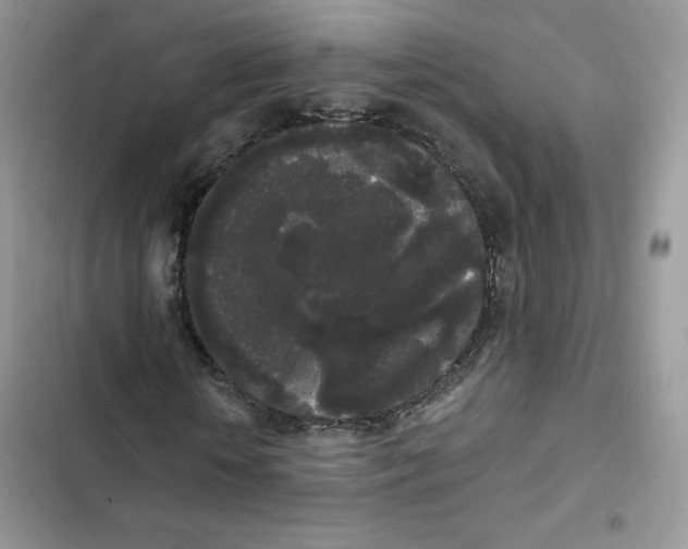 X0000101950818200808151250