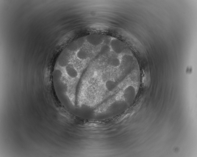 X0000101950819200808151250