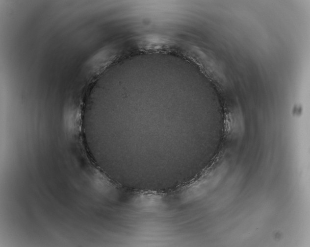 X0000101950820200808151250