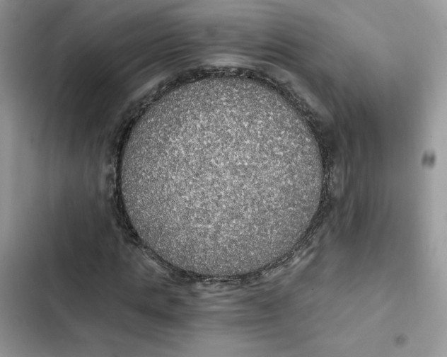 X0000101950821200808151250