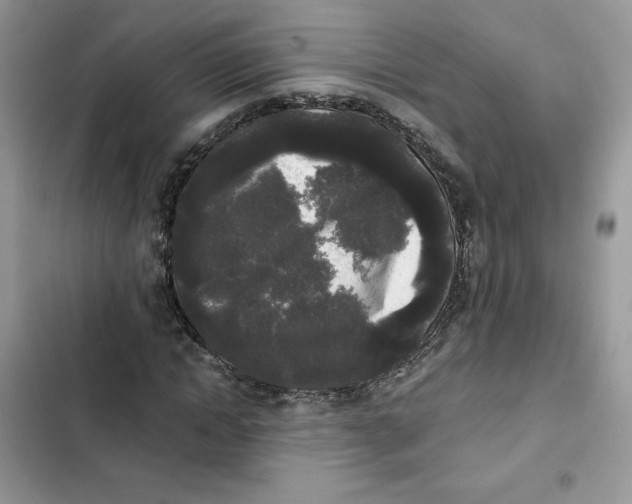 X0000101950822200808151251