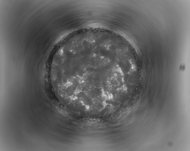 X0000101950823200808151251