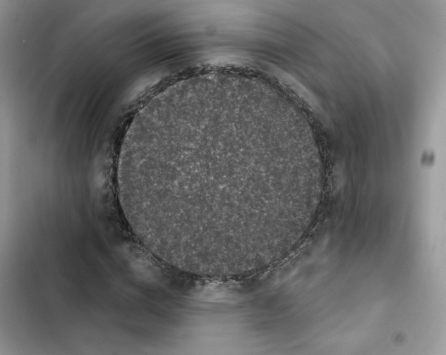 X0000101950824200808151251