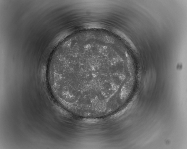 X0000101950825200808151251