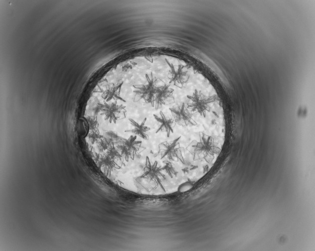X0000101950826200808151251