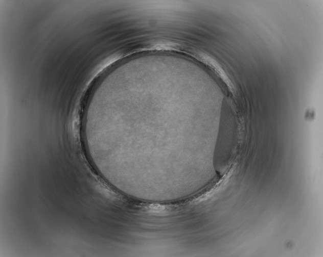 X0000101950827200808151251