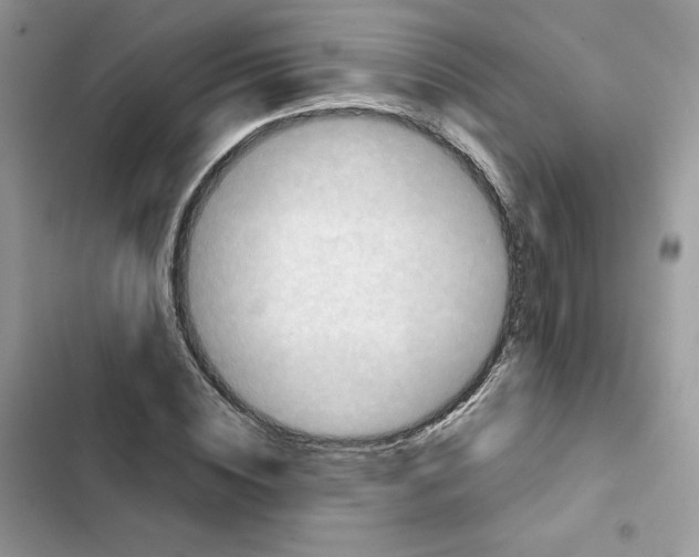 X0000101950828200808151251