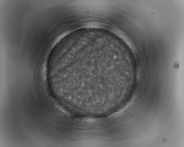 X0000101950829200808151251