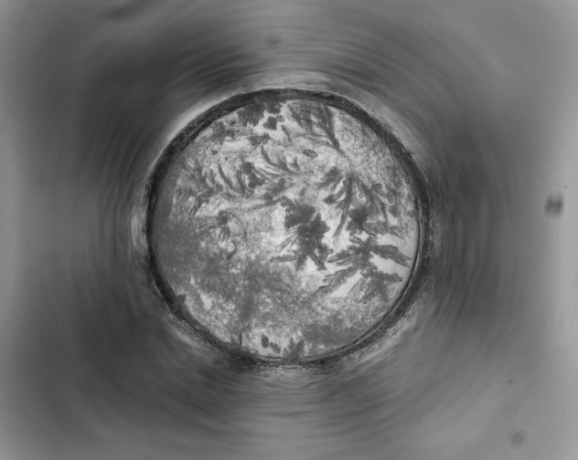 X0000101950830200808151251