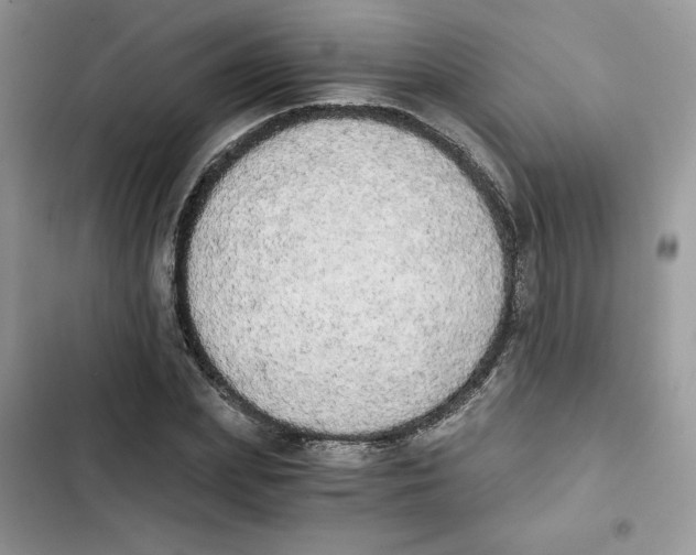 X0000101950831200808151251