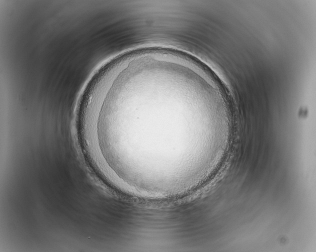 X0000101950832200808151251