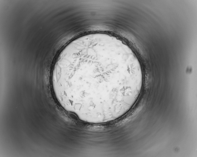 X0000101950833200808151251