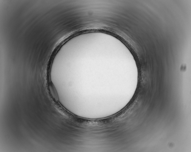 X0000101950834200808151251