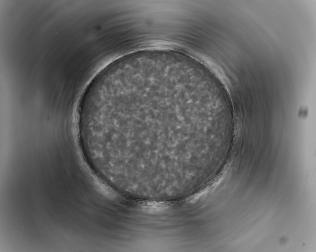 X0000101950835200808151251