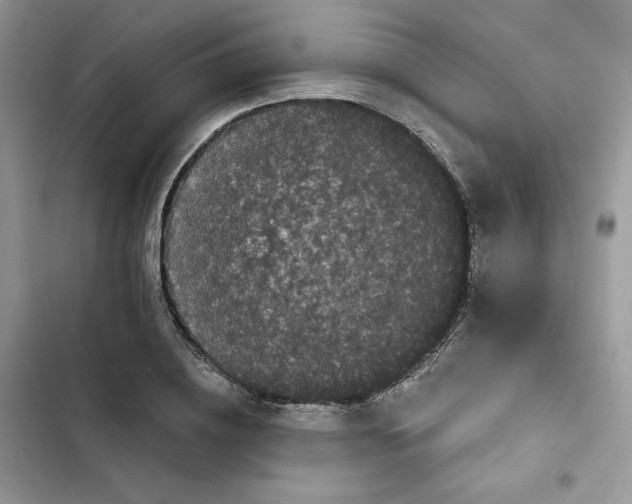 X0000101950836200808151251