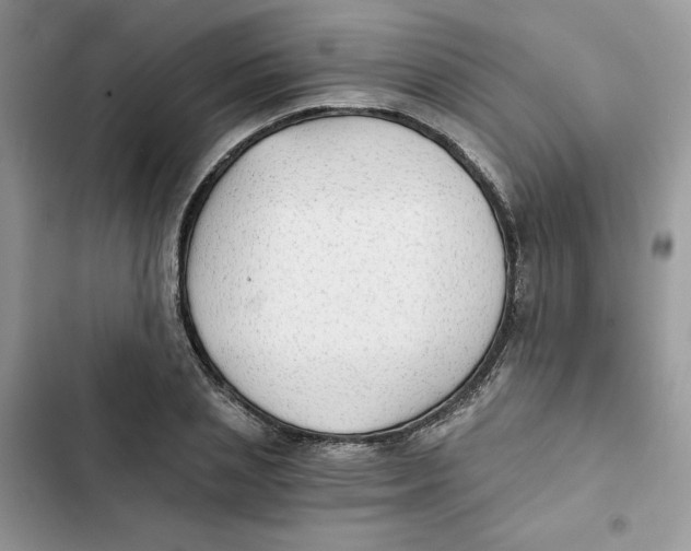 X0000101950837200808151251